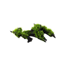 Load image into Gallery viewer, Christmas Moss
