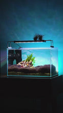 Load and play video in Gallery viewer, JC&amp;P Submersible Aquarium Light with Remote Control
