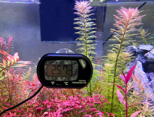 Load image into Gallery viewer, JC&amp;P Aquarium Digital Thermometer
